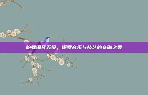 陀螺钢琴五级,探索音乐与技艺的交融之美