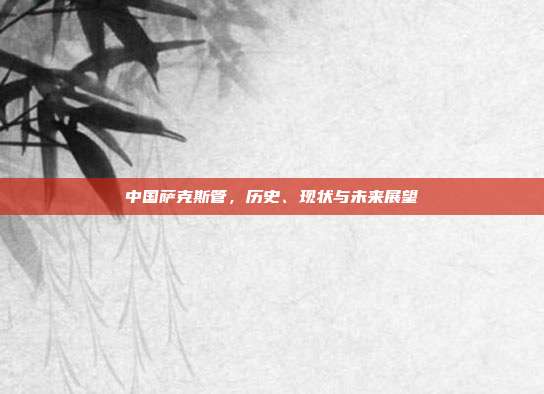 中国萨克斯管,历史、现状与未来展望