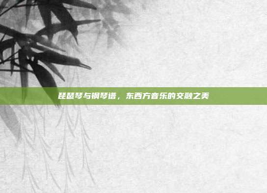 琵琶琴与钢琴谱,东西方音乐的交融之美