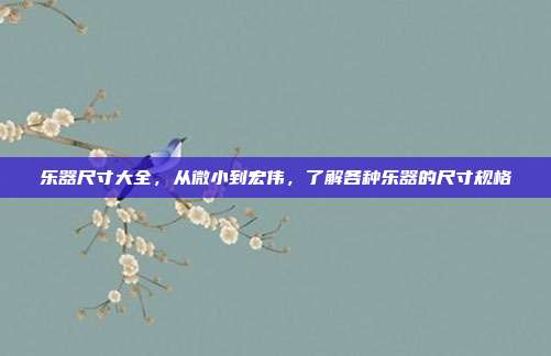 乐器尺寸大全,从微小到宏伟,了解各种乐器的尺寸规格