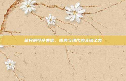 望月钢琴伴奏谱,古典与现代的交融之美
