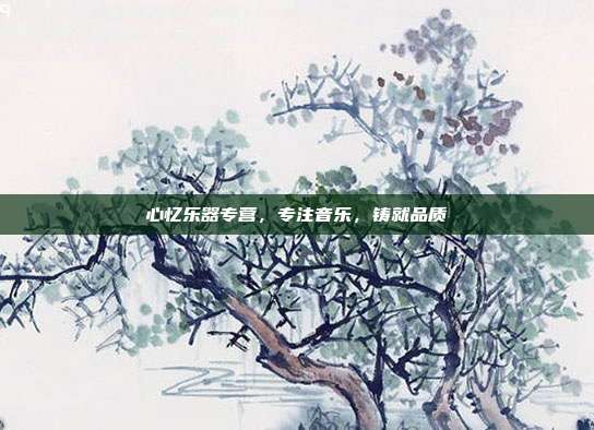 心忆乐器专营，专注音乐，铸就品质