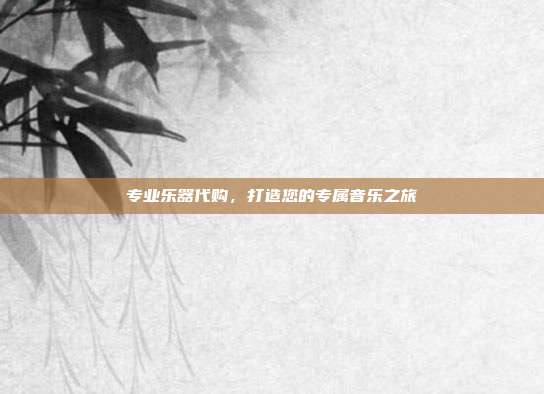 专业乐器代购,打造您的专属音乐之旅