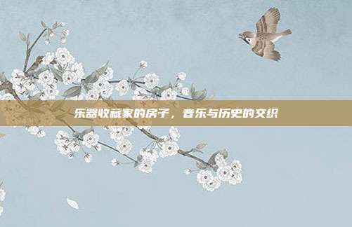 乐器收藏家的房子,音乐与历史的交织