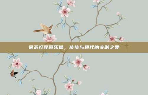 采茶灯琵琶乐谱,传统与现代的交融之美
