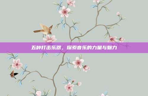 五种打击乐器,探索音乐的力量与魅力