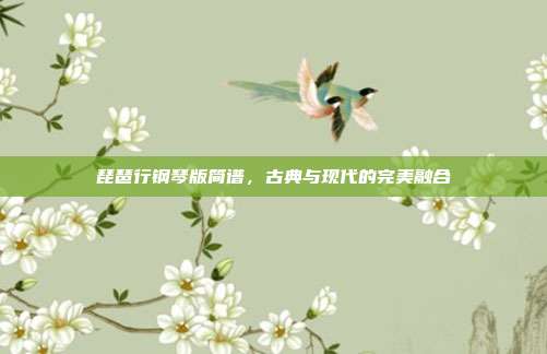 琵琶行钢琴版简谱,古典与现代的完美融合