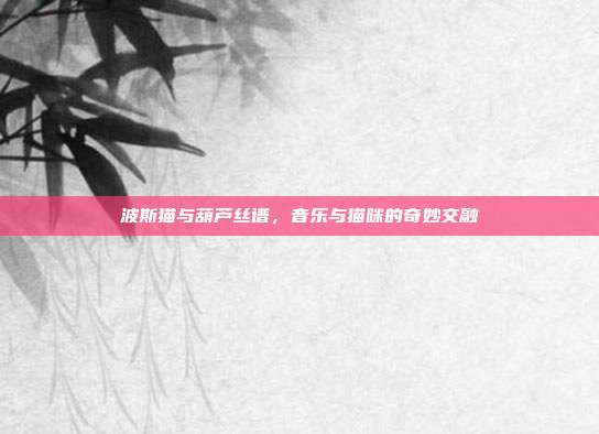 波斯猫与葫芦丝谱，音乐与猫咪的奇妙交融