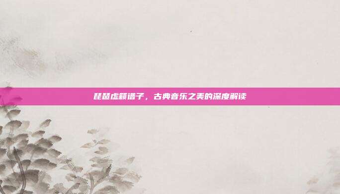 琵琶虚籁谱子,古典音乐之美的深度解读