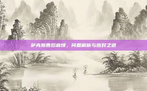 萨克斯售后麻烦,问题解析与应对之道