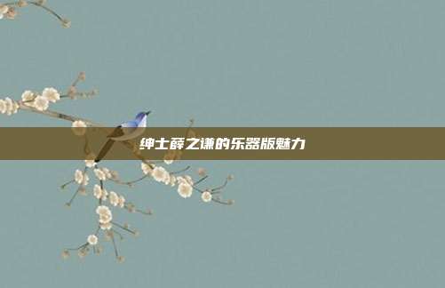 绅士薛之谦的乐器版魅力
