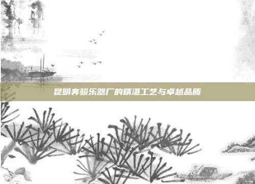 昆明奔骏乐器厂的精湛工艺与卓越品质