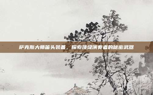 萨克斯大师笛头装备,探索顶级演奏者的秘密武器