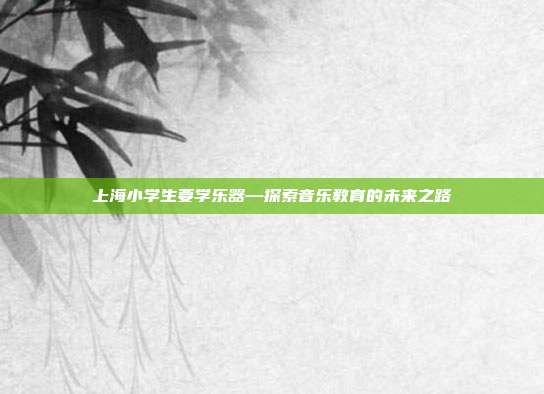 上海小学生要学乐器—探索音乐教育的未来之路