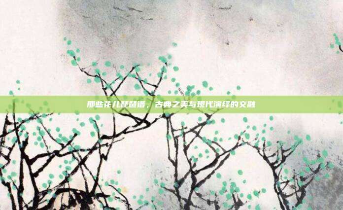 那些花儿琵琶谱,古典之美与现代演绎的交融