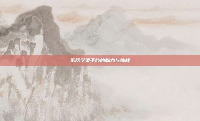 乐器学架子鼓的魅力与挑战