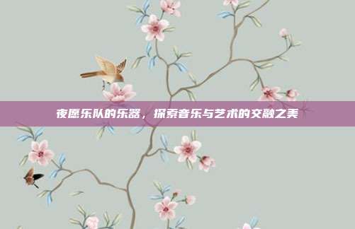 夜愿乐队的乐器,探索音乐与艺术的交融之美
