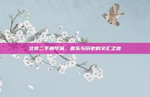 北京二手钢琴城,音乐与历史的交汇之地