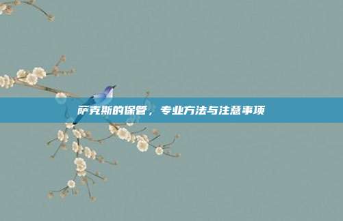 萨克斯的保管,专业方法与注意事项