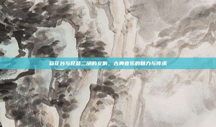 菊花台与琵琶二胡的交响,古典音乐的魅力与传承