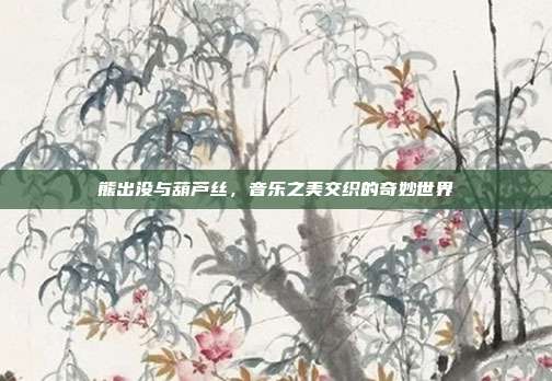 熊出没与葫芦丝,音乐之美交织的奇妙世界
