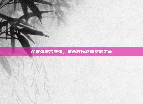 琵琶弦与吉他弦,东西方乐器的交融之美