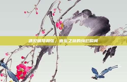 遇见钢琴和弦，音乐之旅的绚烂瞬间