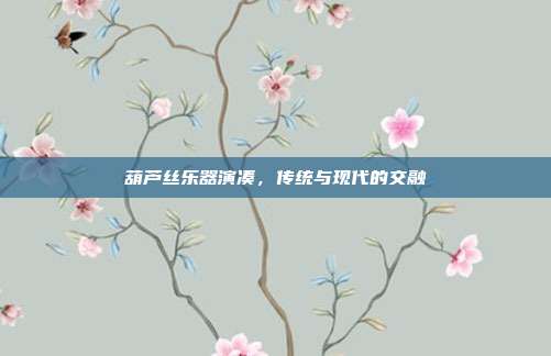 葫芦丝乐器演凑,传统与现代的交融