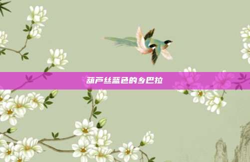 葫芦丝蓝色的乡巴拉
