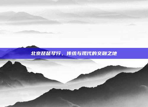 北京琵琶琴行,传统与现代的交融之地