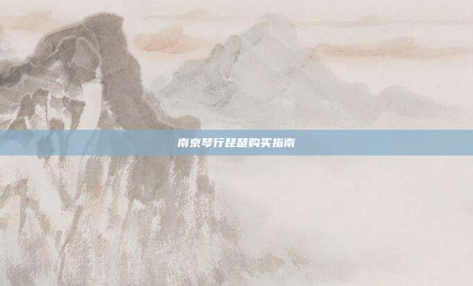 南京琴行琵琶购买指南