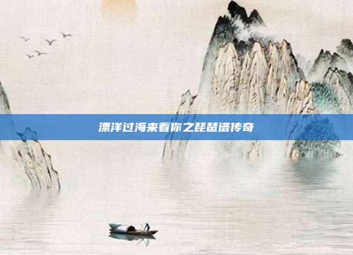 漂洋过海来看你之琵琶谱传奇