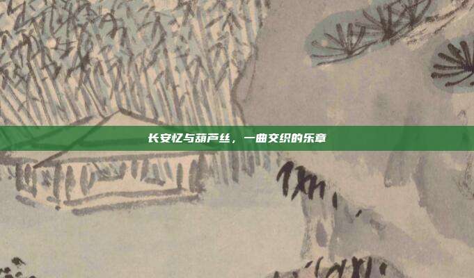长安忆与葫芦丝,一曲交织的乐章