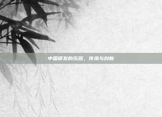 中国研发的乐器,传承与创新