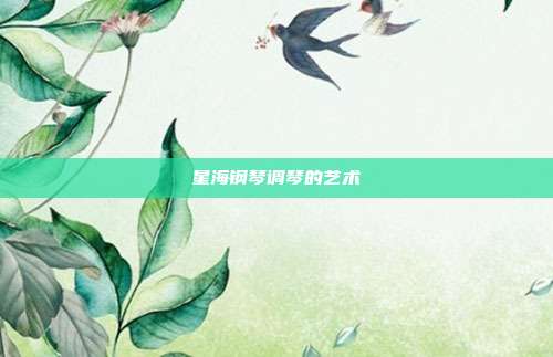 星海钢琴调琴的艺术