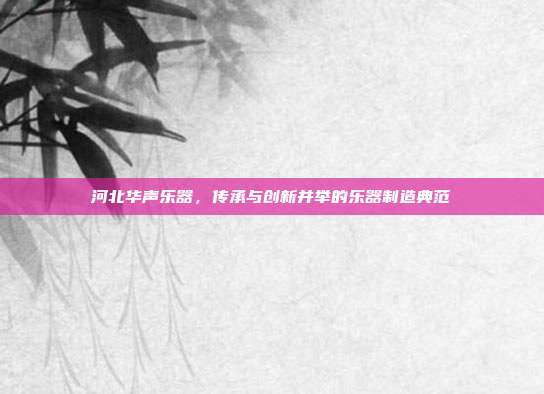 河北华声乐器,传承与创新并举的乐器制造典范