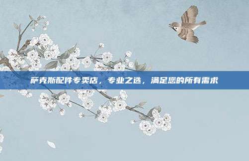 萨克斯配件专卖店，专业之选，满足您的所有需求