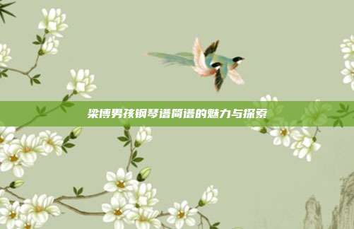 梁博男孩钢琴谱简谱的魅力与探索
