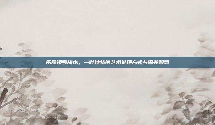 乐器短号放水,一种独特的艺术处理方式与保养智慧