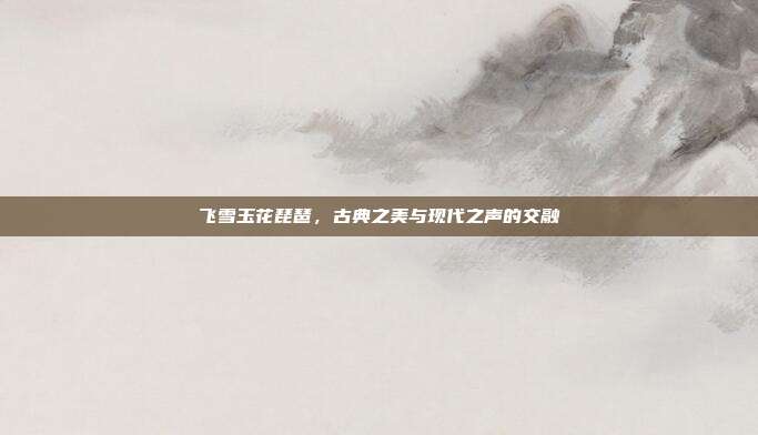 飞雪玉花琵琶,古典之美与现代之声的交融