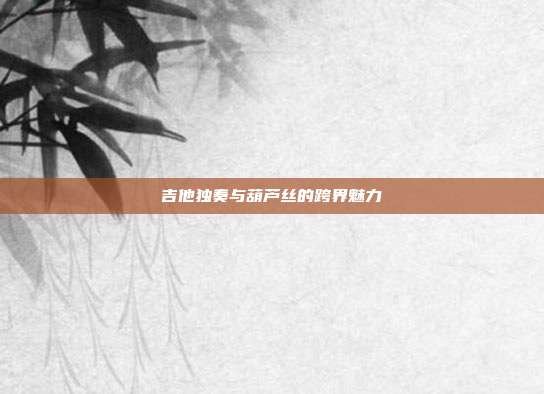 吉他独奏与葫芦丝的跨界魅力