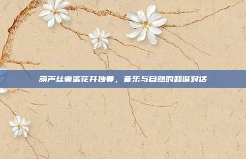 葫芦丝雪莲花开独奏，音乐与自然的和谐对话