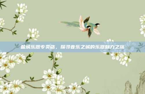 盐城乐器专卖店,探寻音乐之城的乐器魅力之旅