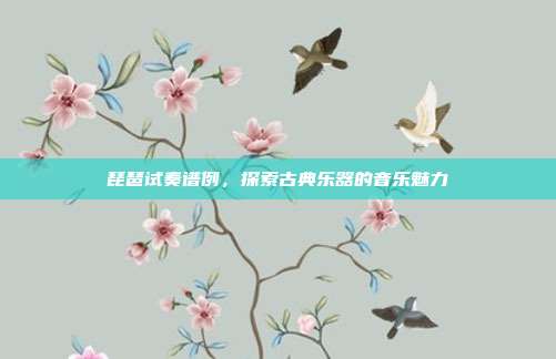 琵琶试奏谱例,探索古典乐器的音乐魅力