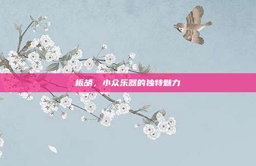 板胡,小众乐器的独特魅力