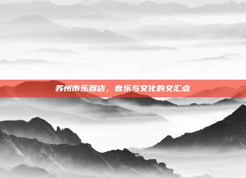 苏州市乐器店,音乐与文化的交汇点