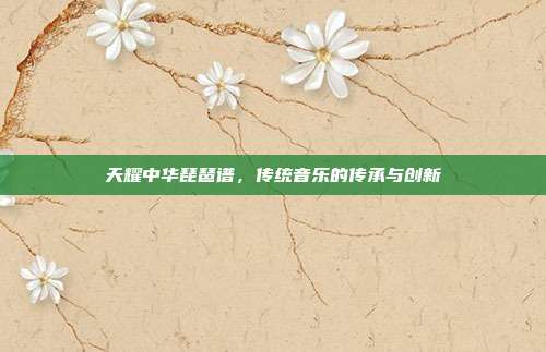 天耀中华琵琶谱,传统音乐的传承与创新