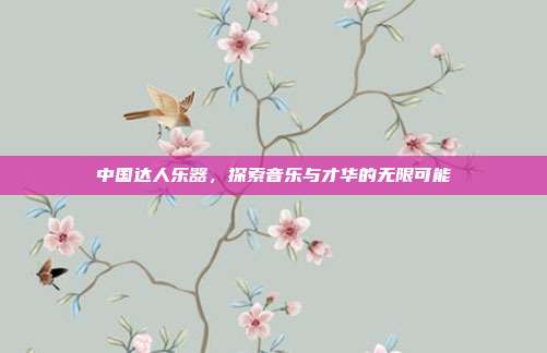 中国达人乐器,探索音乐与才华的无限可能