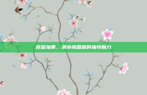 琵琶独奏,渭水情唱谱的独特魅力