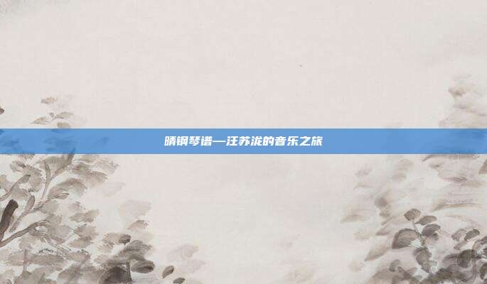 晴钢琴谱—汪苏泷的音乐之旅